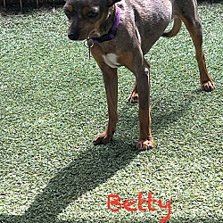 Thumbnail photo of Betty #2