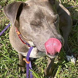 Photo of Casie