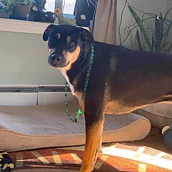 Photo of Emmie