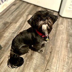 Photo of Susie