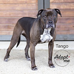 Thumbnail photo of Tango #3