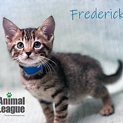 Thumbnail photo of Frederick #1