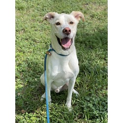 Photo of BAXTER