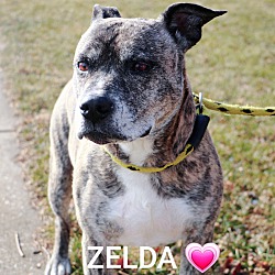 Thumbnail photo of ZELDA #4