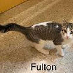 Photo of Fulton
