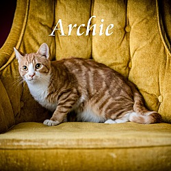Photo of Archie