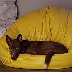 Photo of Ragnar