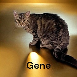Thumbnail photo of Gene #3