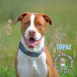 Thumbnail photo of Topaz #1