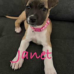 Thumbnail photo of Janet #1