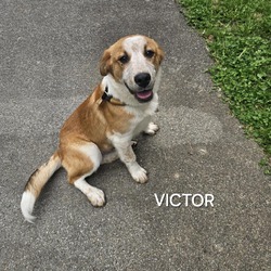 Photo of Victor