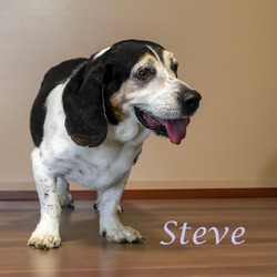 Thumbnail photo of Steve (D22-125) #1