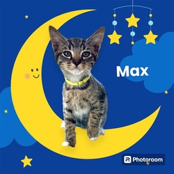 Photo of *MAX