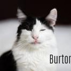 Photo of Burton