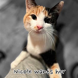 Thumbnail photo of Nicole #1