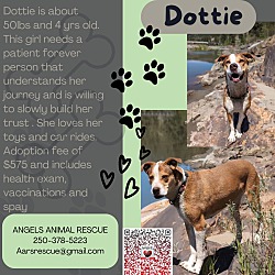 Thumbnail photo of Dottie #1