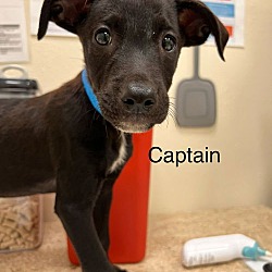 Thumbnail photo of Captain #1