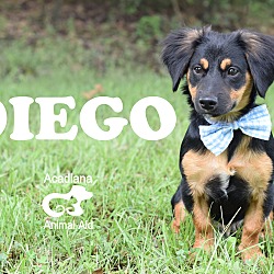 Thumbnail photo of Diego #4