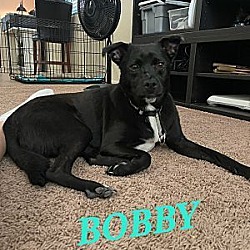 Photo of Bobby