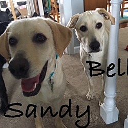 Thumbnail photo of Sandy #2