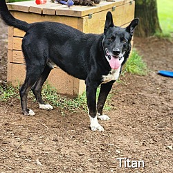Photo of Titan