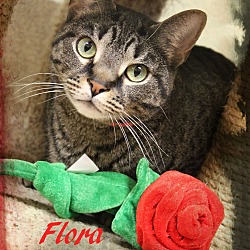 Thumbnail photo of Flora #1