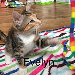 Photo of Evelyn
