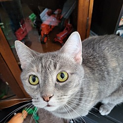 Photo of Bella Louise 