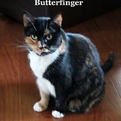 Thumbnail photo of Butterfinger #3