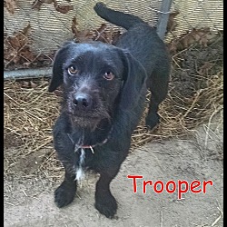 Thumbnail photo of Trooper #3