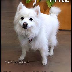 Thumbnail photo of Fritz #2
