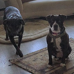 Photo of Cleo