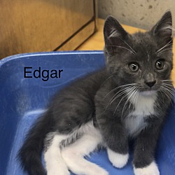 Photo of Edgar