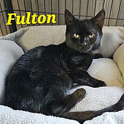 Thumbnail photo of Fulton #2