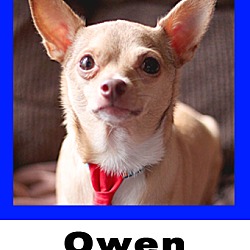 Thumbnail photo of Owen #1