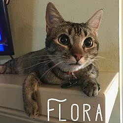 Thumbnail photo of Flora #1