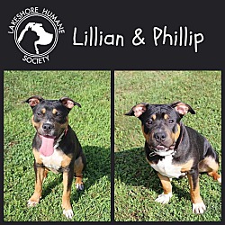 Photo of Phillip & Lillian