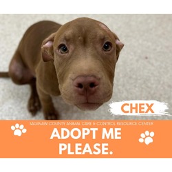 Photo of CHEX