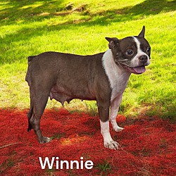 Photo of Winnie