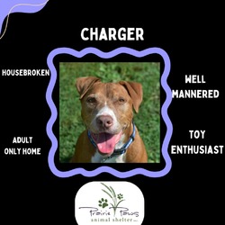 Thumbnail photo of Charger #2