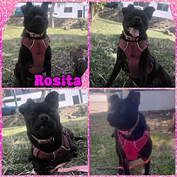 Photo of ROSITA