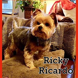 Photo of Rickey Ricardo
