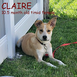 Photo of CLAIRE
