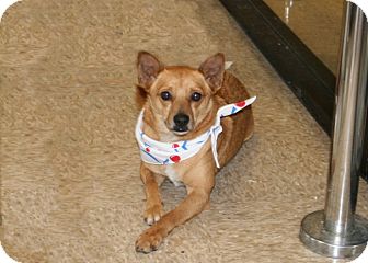 ryan's world red dinosaur