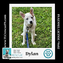 Thumbnail photo of Dylan (Daisy's Droplets) 051824 #3