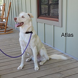 Thumbnail photo of Atlas #4