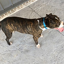 Thumbnail photo of Terrlee~adopted! #4