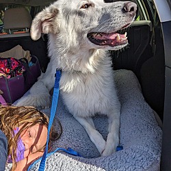 Photo of Hercules