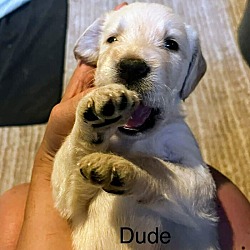 Thumbnail photo of Dude #1