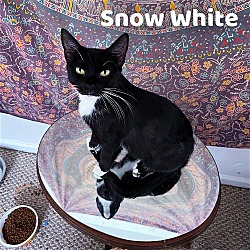 Thumbnail photo of Snow White #3